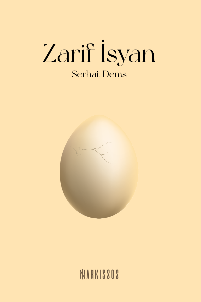 Zarif İsyan Kapak